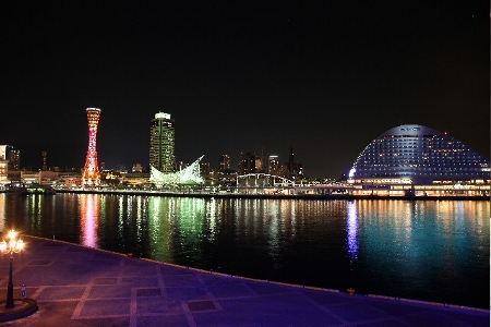 神戸港の夜景 (450x300)