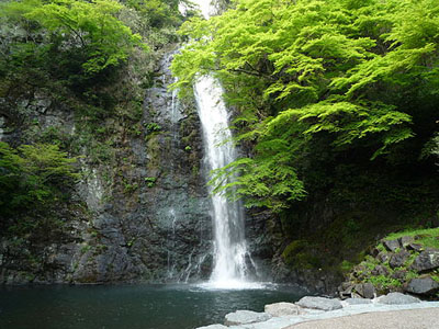 滝